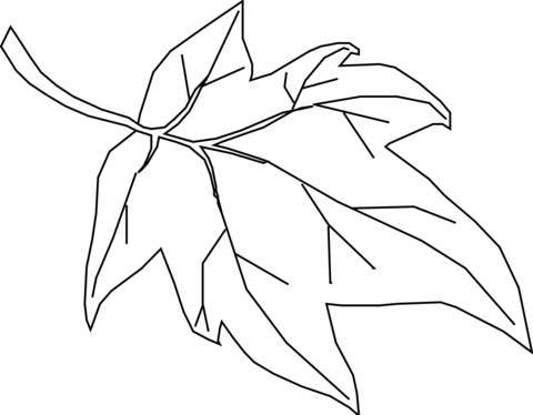 Maple Leave Coloring Page